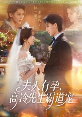 夫人有孕，高冷先生霸道寵(全集)