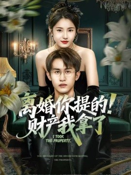 離婚你提的！財產(chǎn)我拿了(全集)