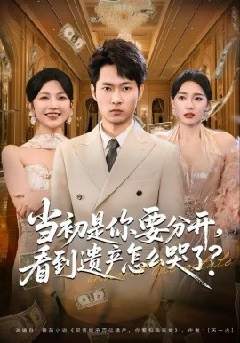 當初是你要分開，看到遺產(chǎn)怎么哭了？(全集)