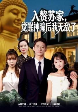 入贅蘇家，覺醒神瞳后我無敵了(全集)