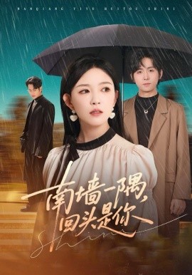 南墻一隅，回頭是你(全集)
