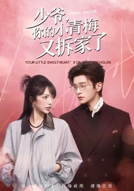 少爺，你的小青梅又拆家了(全集)