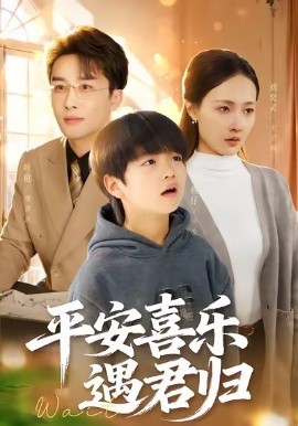 平安喜樂遇君歸 天才寶貝尋爹計(全集)
