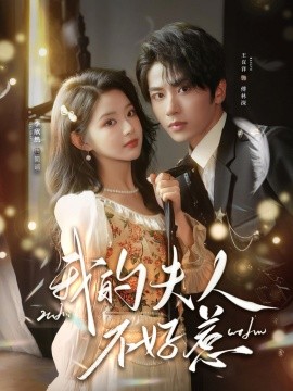 我的夫人不好惹 你好，我的旅長夫人(全集)