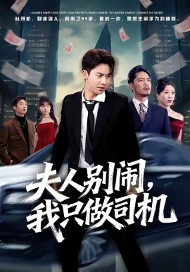 夫人別鬧我只做司機(jī)(全集)