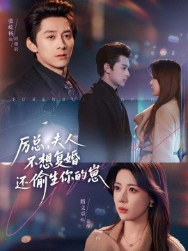 厲總，夫人不想復(fù)婚還偷生你的崽(全集)