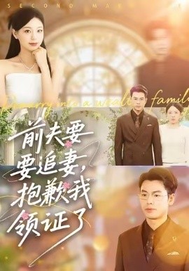 前夫要追妻，抱歉我領證了(全集)