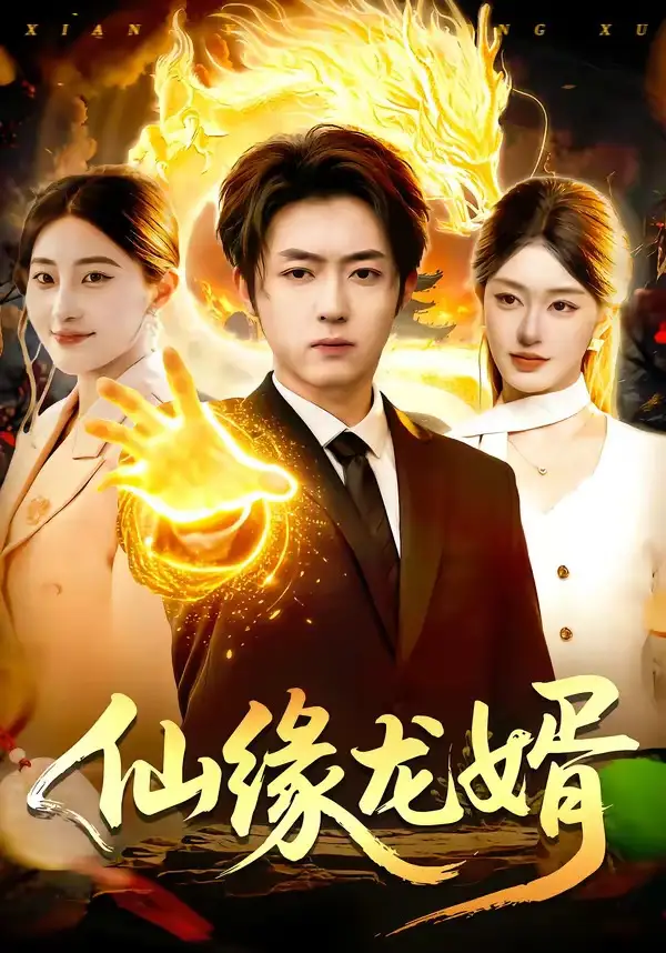 仙緣龍婿(全集)