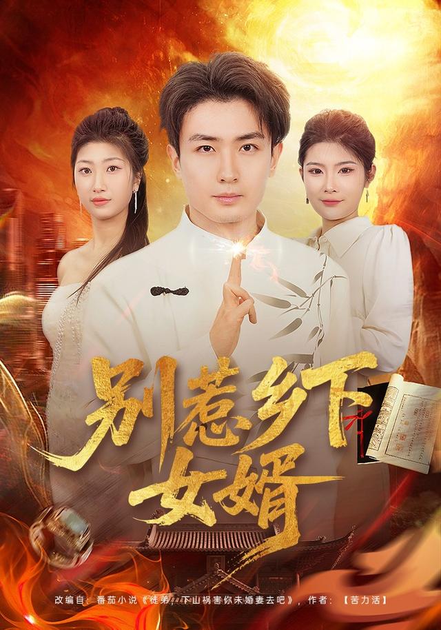 別惹鄉(xiāng)下女婿(全集)