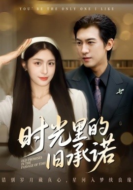 時光里的舊承諾 重逢是場盛大告白(全集)