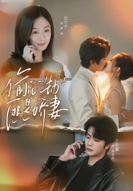 偷心劫匪是嬌妻(全集)