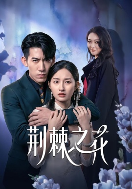 荊棘之花(全集)