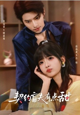 契約盲夫有點甜(全集)