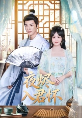 夜燼入君懷(全集)