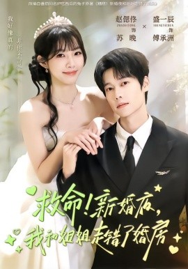救命！新婚夜，我和姐姐走錯(cuò)了婚房(全集)