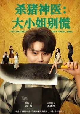 殺豬神醫(yī)，大小姐別慌(全集)