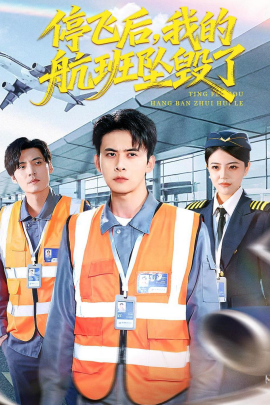 停飛后，我的航班墜毀了(全集)