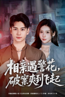 相親遇警花，破案爽到飛起(全集)