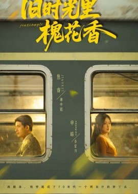 舊時(shí)光里槐花香(全集)