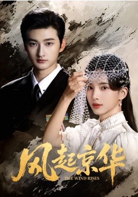 風(fēng)起京華(全集)
