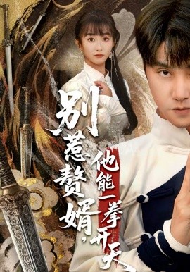 別惹贅婿，他能一拳開(kāi)天 假面贅婿，出手定乾坤(全集)