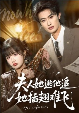 夫人她逃他追，她插翅難飛(全集)