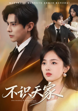 不識(shí)天家(全集)