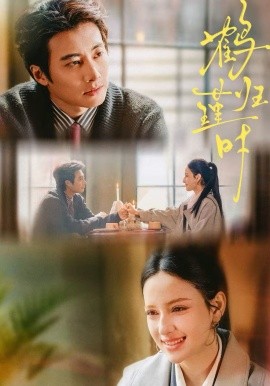 鶴歸瑾時(shí)(全集)