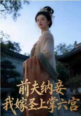 前夫納妾，我嫁圣上掌六宮(全集)