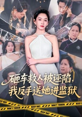 砸車救人被誣陷，我反手送她進監(jiān)獄(全集)