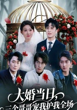 大婚當(dāng)日，三個(gè)哥哥寵我護(hù)我全場(chǎng)(全集)