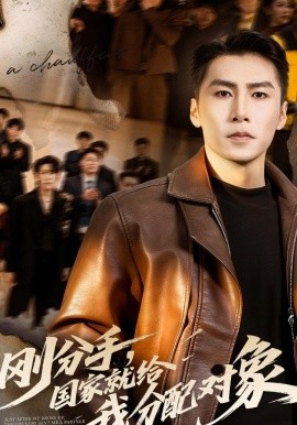 剛分手，國家就給我分配對象(全集)