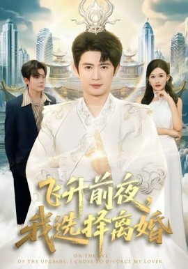 飛升前夜，我選擇離婚(全集)