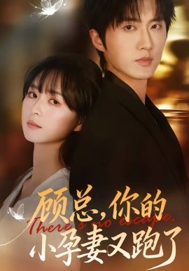 顧總，你的小孕妻又跑了(全集)