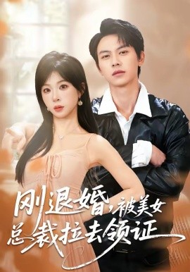 剛退婚，被美女總裁拉去領(lǐng)證(全集)