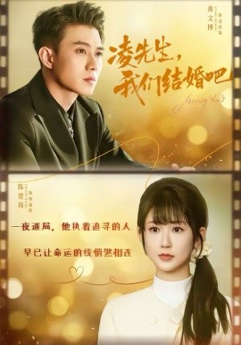 凌先生，我們結(jié)婚吧(全集)