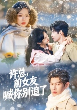 許總，前女友喊你別追了(全集)