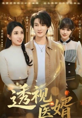 透視醫(yī)婿(全集)