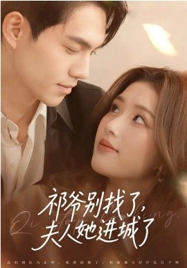 祁爺別找了，夫人她進(jìn)城了(全集)