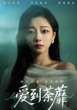 愛到荼蘼(全集)