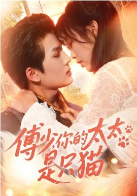傅少，你的太太是只貓(全集)