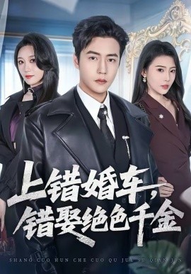 上錯婚車，錯娶絕色千金(全集)