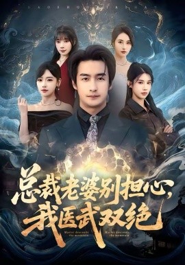 總裁老婆別擔(dān)心，我醫(yī)武雙絕(全集)