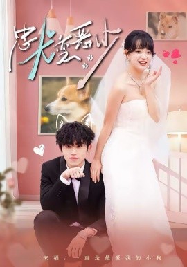 驚！我家來(lái)福變惡少了 忠犬變惡少(全集)