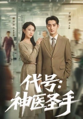 代號：神醫(yī)圣手(全集)