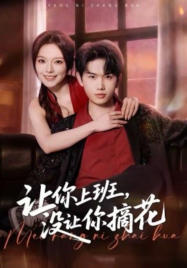 讓你上班，沒(méi)讓你摘花(全集)