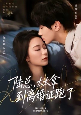 陸總，太太拿到離婚證跑了(全集)