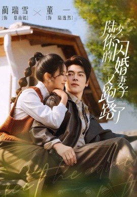 陸少，你的閃婚妻子又跑路了(全集)