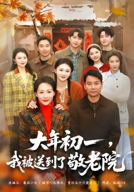 大年初一，我被送到了敬老院(全集)