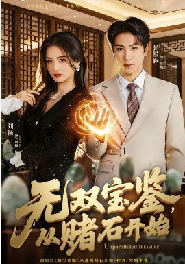 無雙寶鑒，從賭石開始(全集)